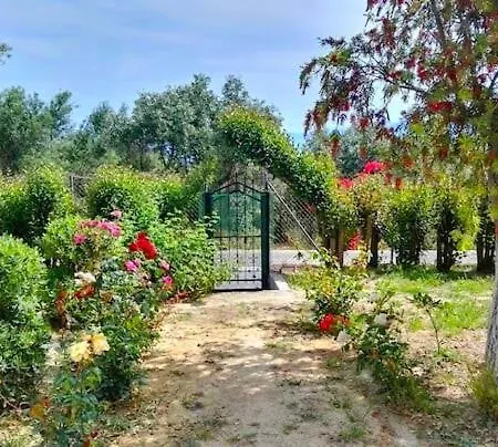 Appartamento Countryside Apartment Yard-View-Wifi-Parking *